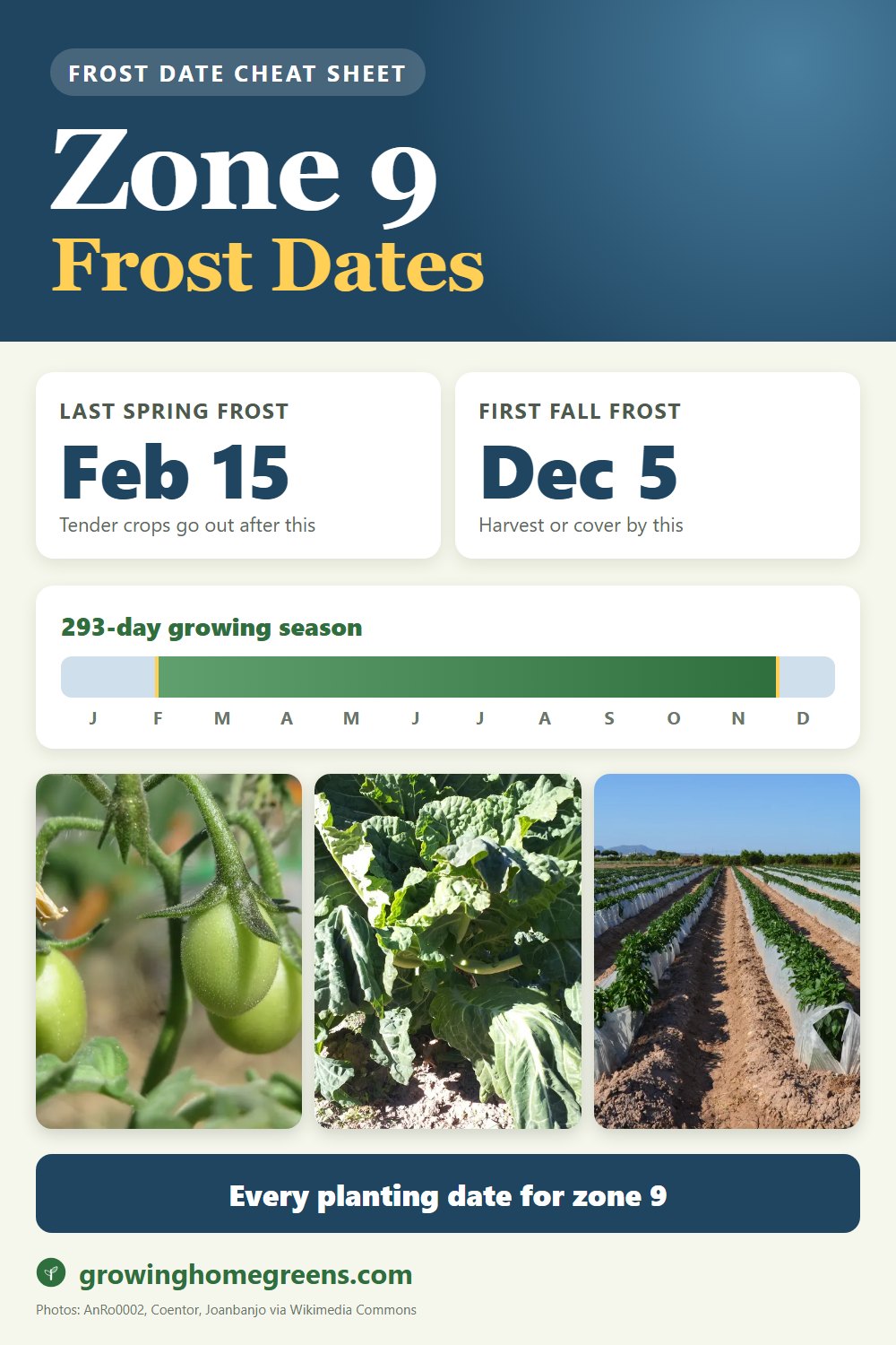 Zone 9b frost dates cheat sheet